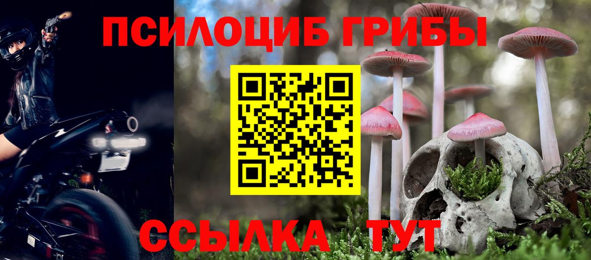 Галлюциногенные грибы мухоморы Северобайкальск