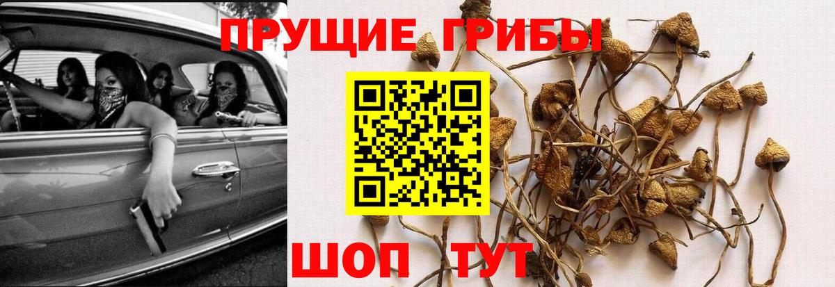 Псилоцибиновые грибы Magic Shrooms  Псилоцибиновые грибы MAGIC MUSHROOMS  Вход с VPN  Северобайкальск 